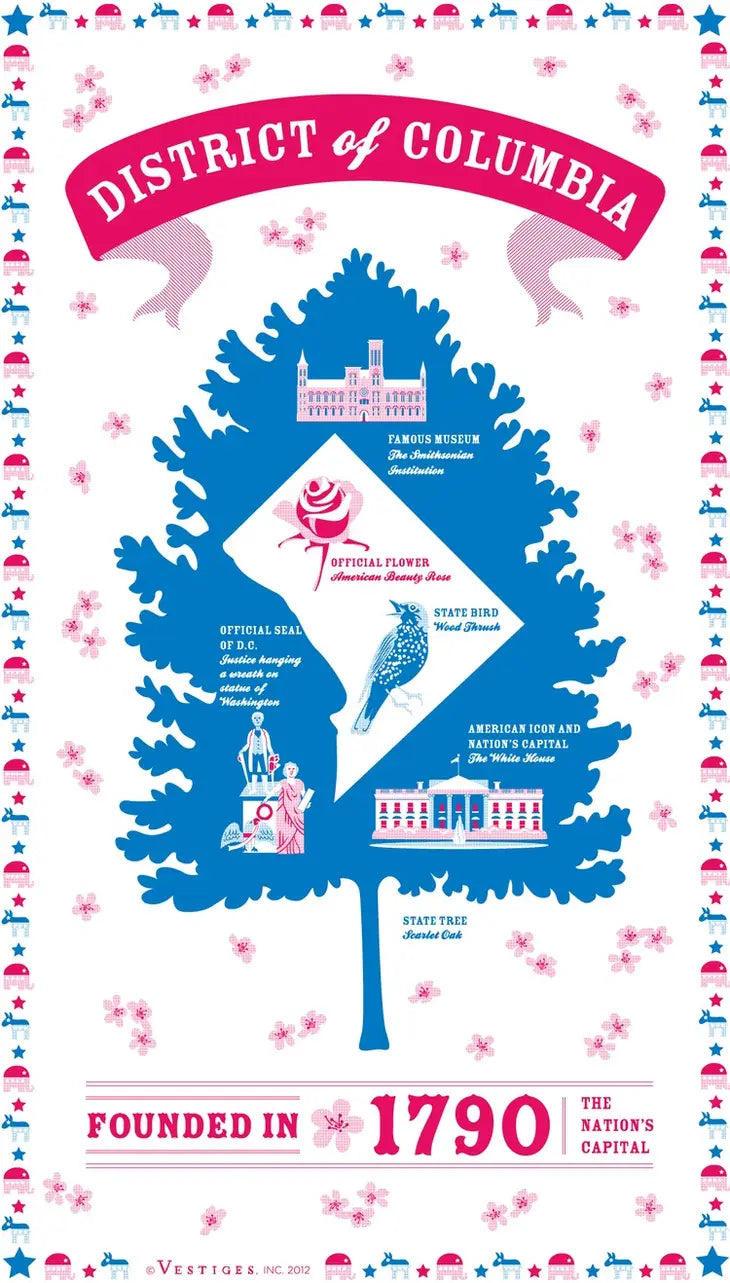 District of Columbia Kitchen Towel