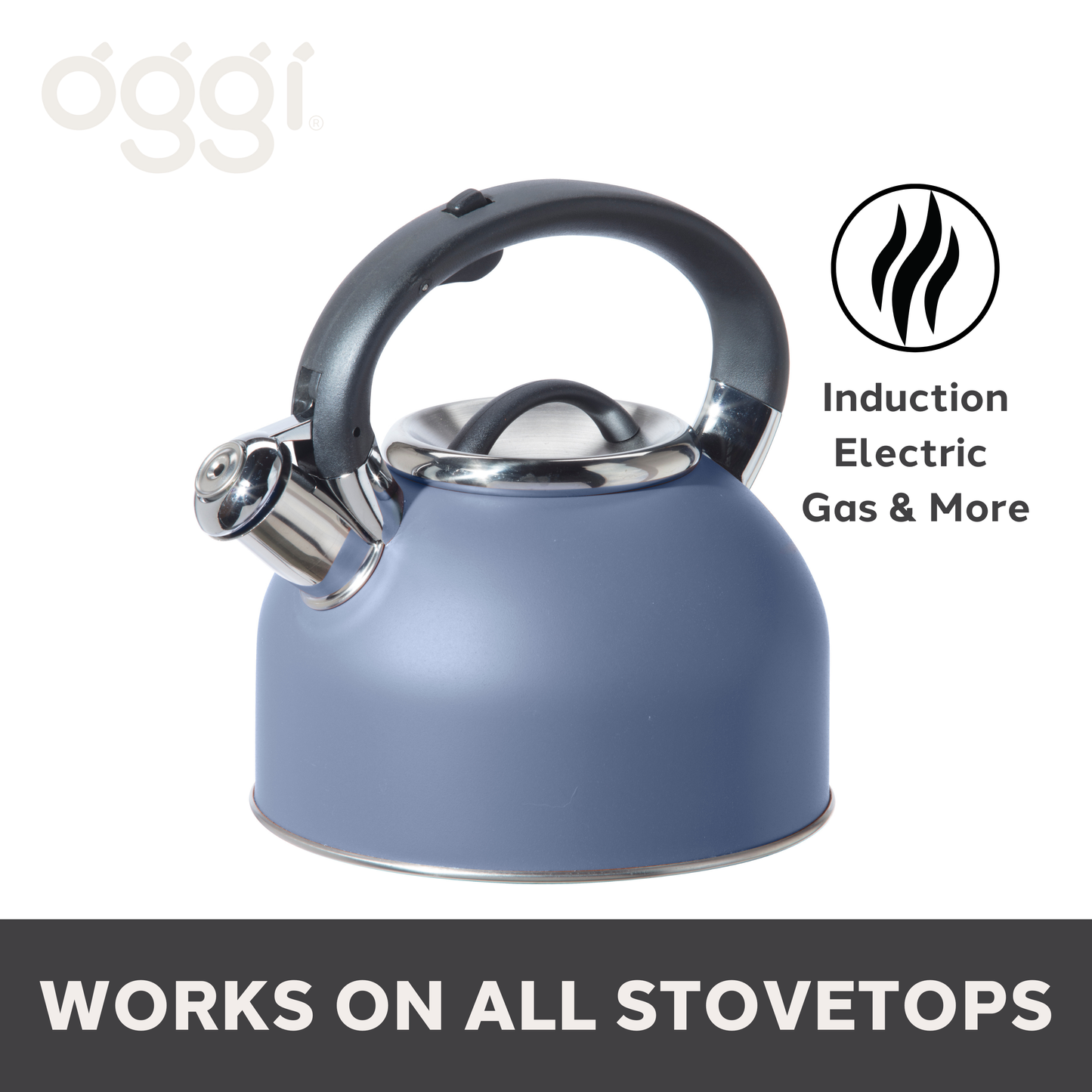 Stovetop Kettle - Stainless Steel w/ Whistle (1.9 lt, 64 oz)