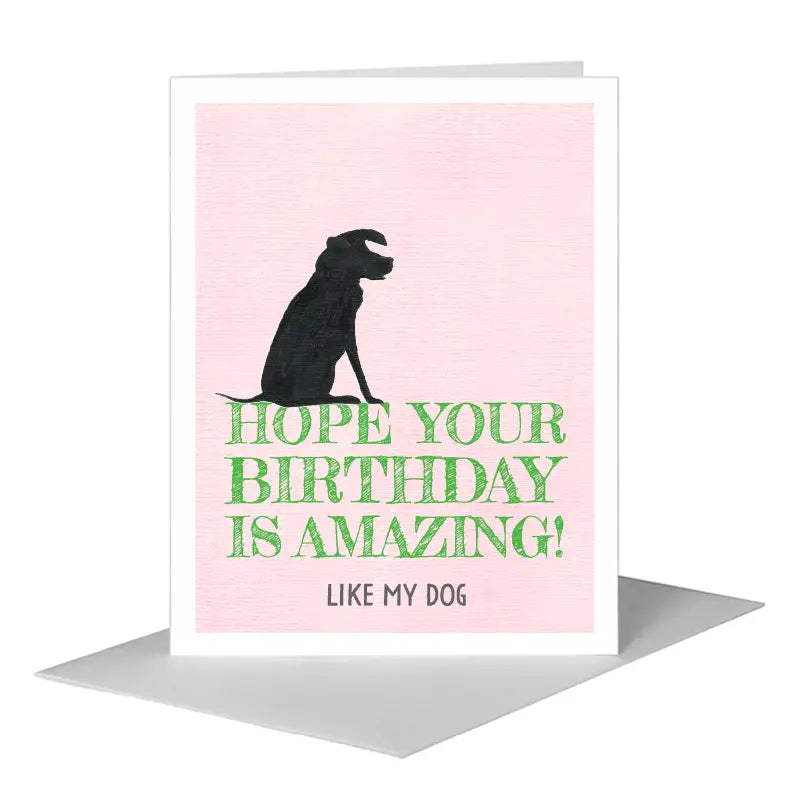 Dog Birthday