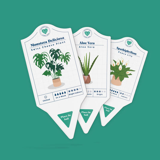 Houseplant Care Tags