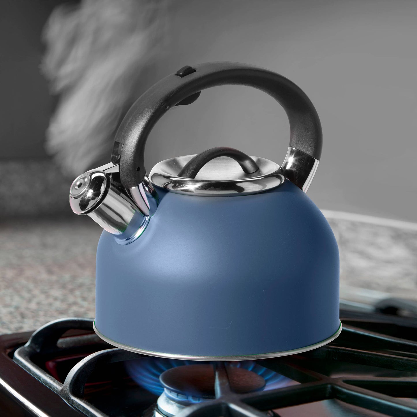Stovetop Kettle - Stainless Steel w/ Whistle (1.9 lt, 64 oz)