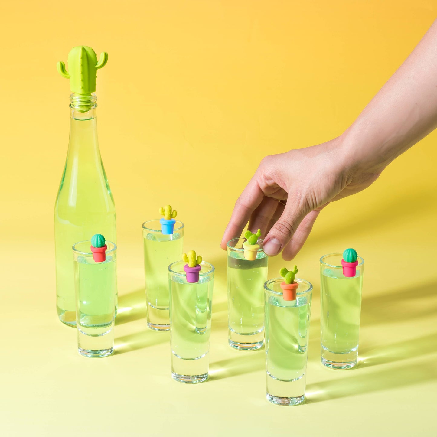 Cactus Stopper and Charm Set