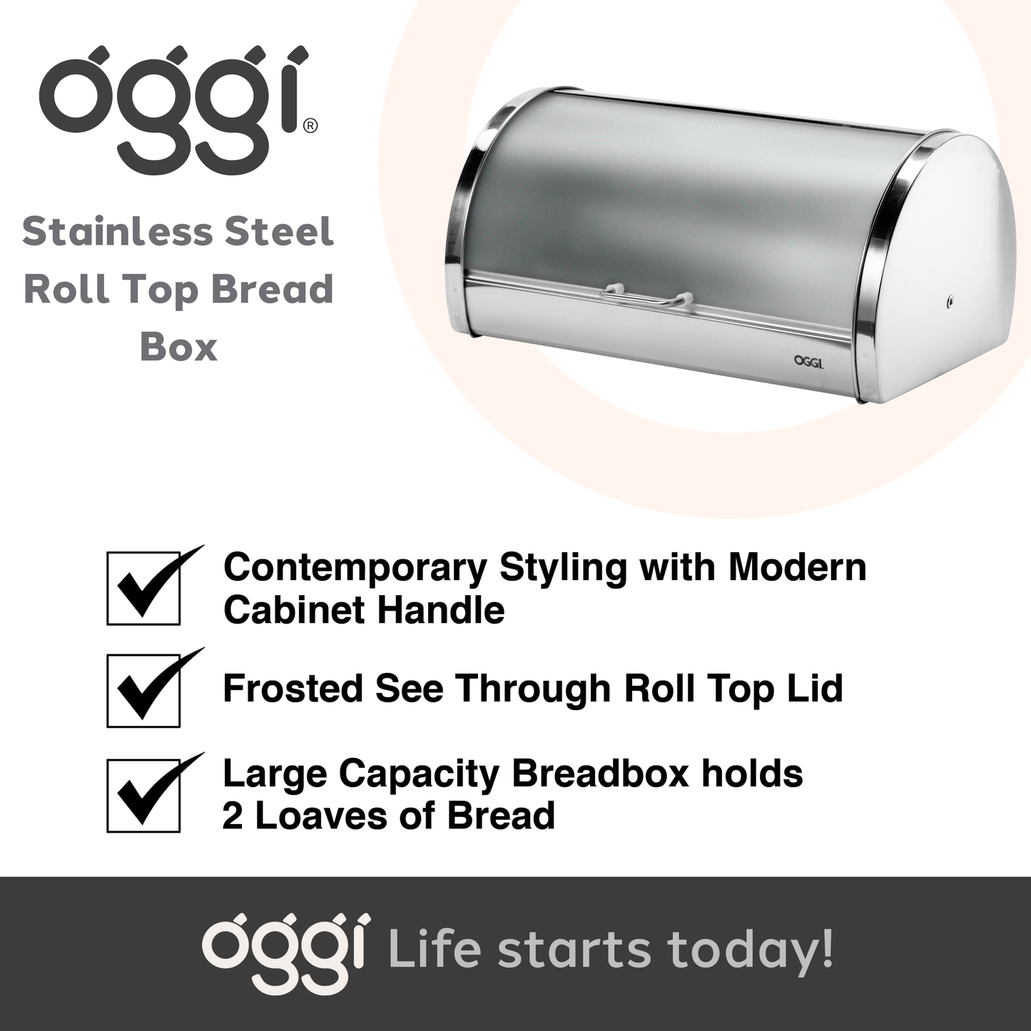 Bread Box - Stainless w/ Frosted Lid (15" x 7.25" x 10")