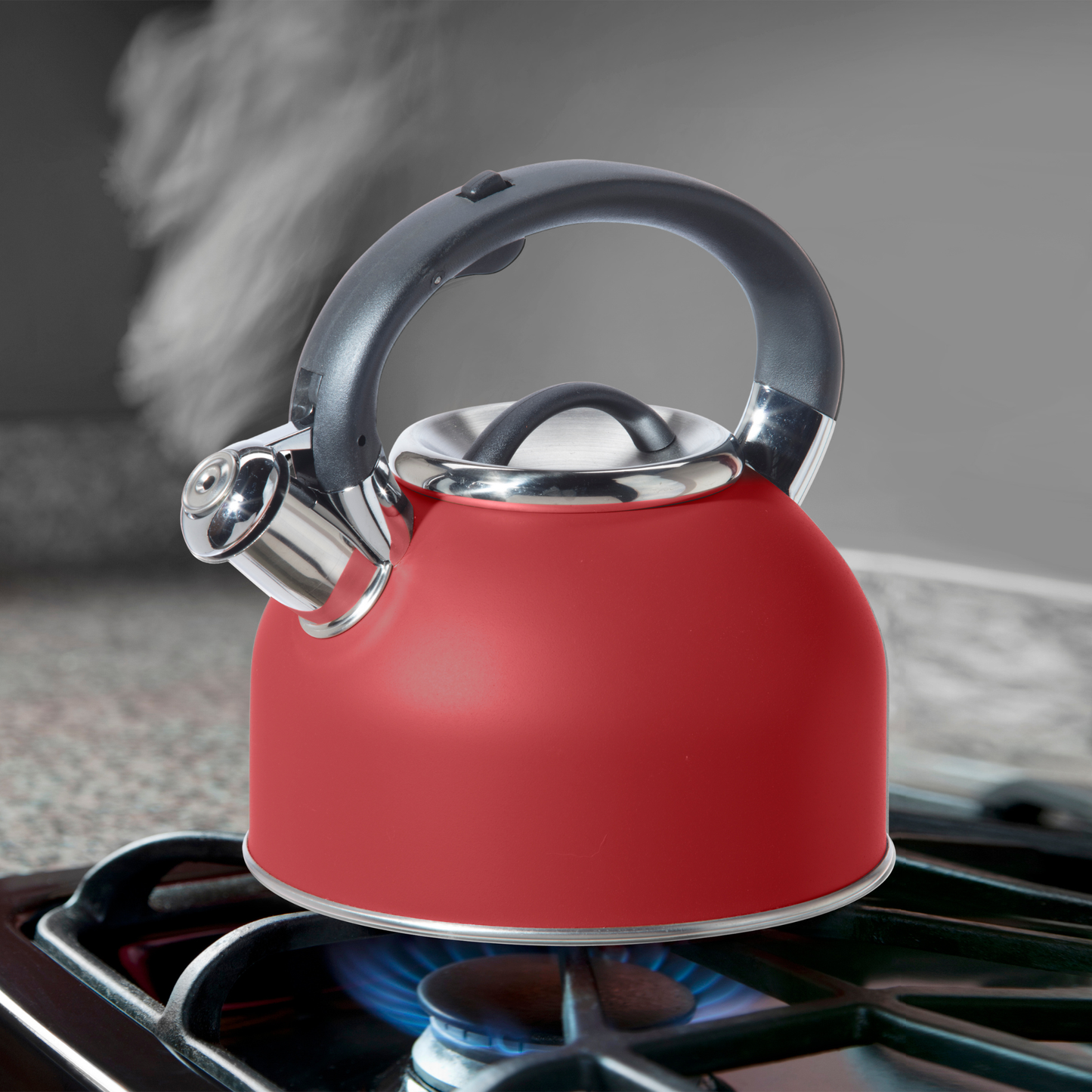 Stovetop Kettle - Stainless Steel w/ Whistle (1.9 lt, 64 oz)