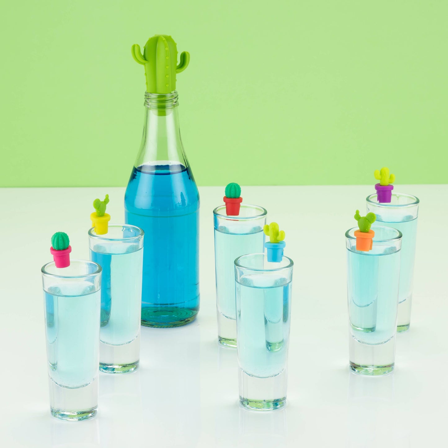 Cactus Stopper and Charm Set