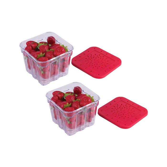HIC Kitchen Berry Fresh Produce Box 1 Liter
