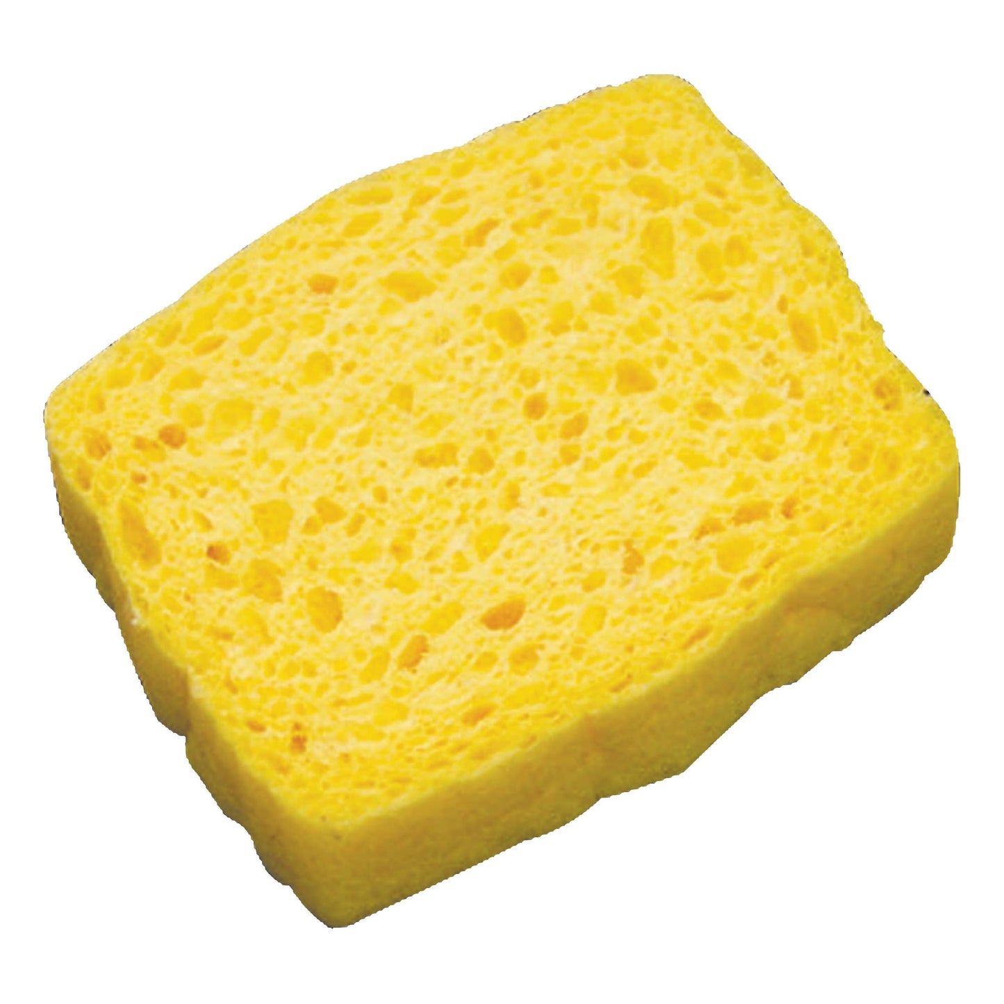 Pop Up Sponge