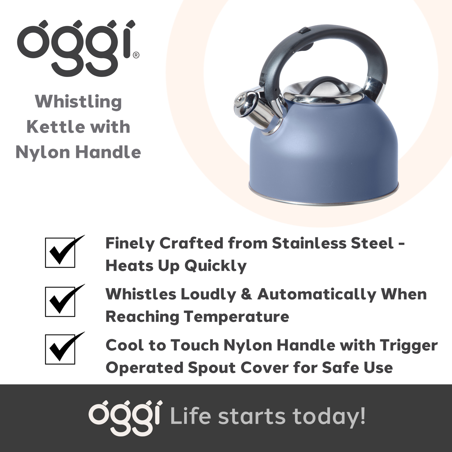 Stovetop Kettle - Stainless Steel w/ Whistle (1.9 lt, 64 oz)