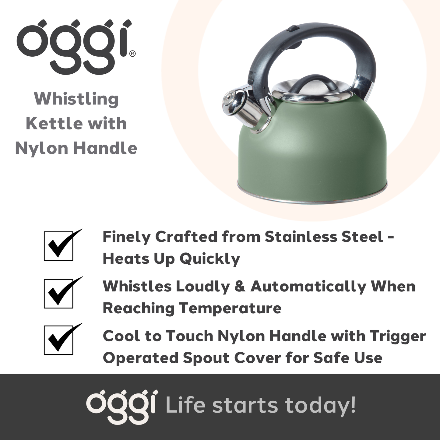 Stovetop Kettle - Stainless Steel w/ Whistle (1.9 lt, 64 oz)