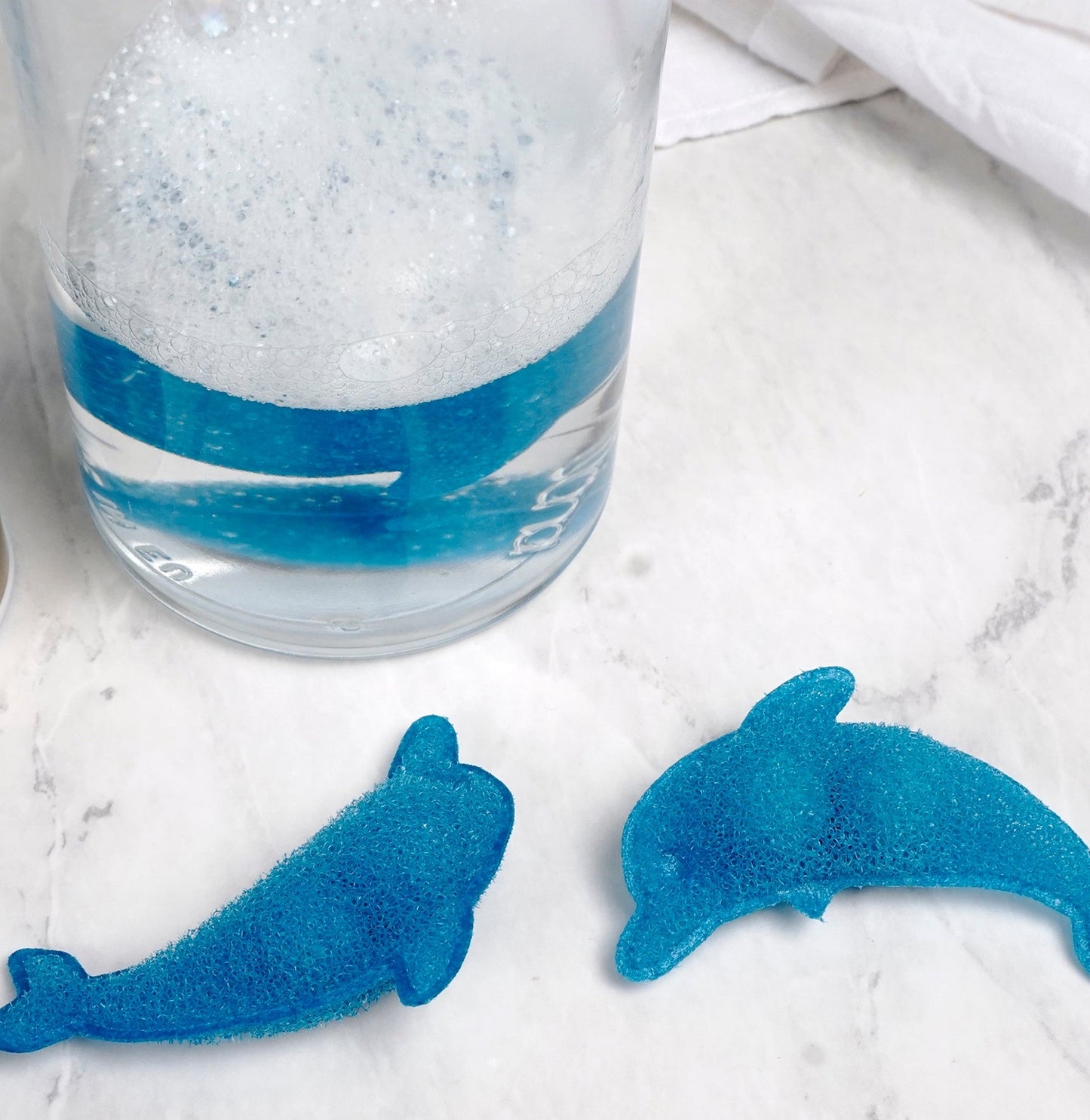 Dolphin Bottle Cleaning Sponge Set/3