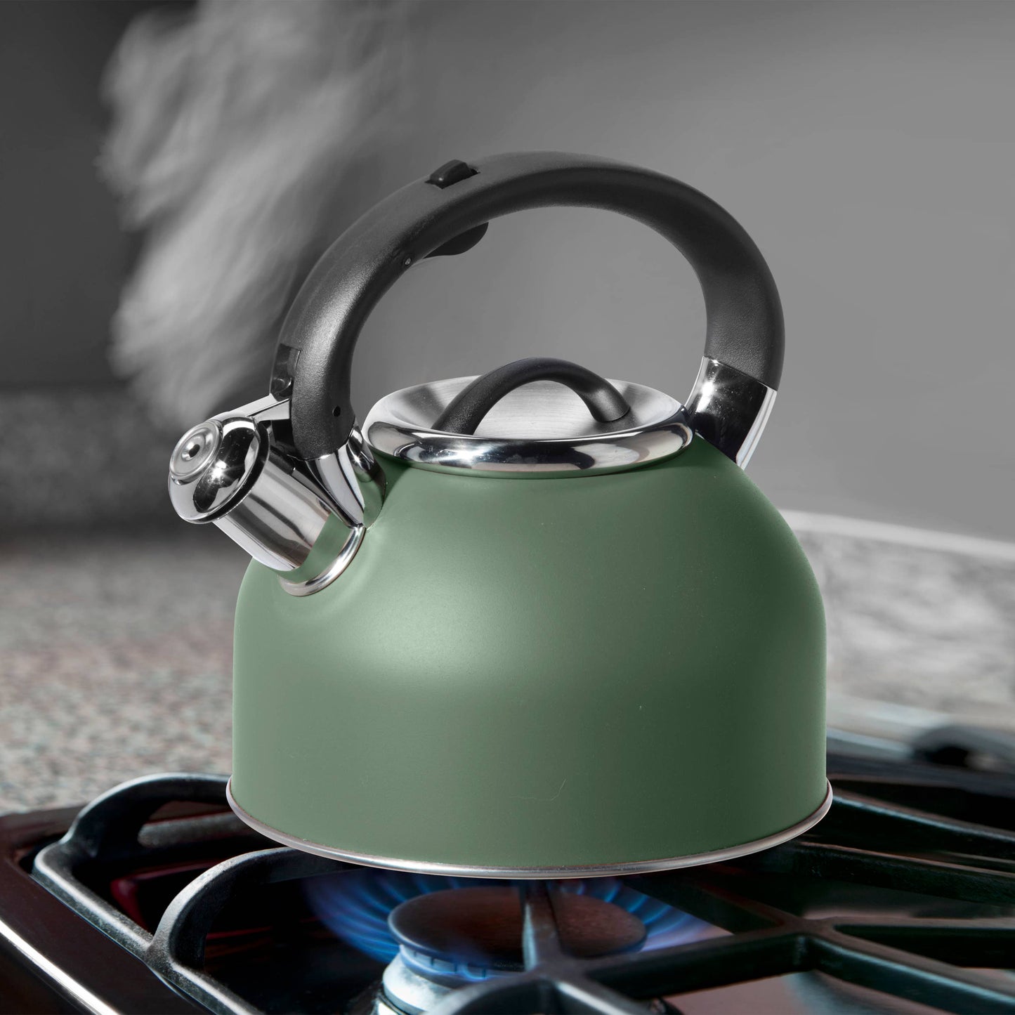 Stovetop Kettle - Stainless Steel w/ Whistle (1.9 lt, 64 oz)